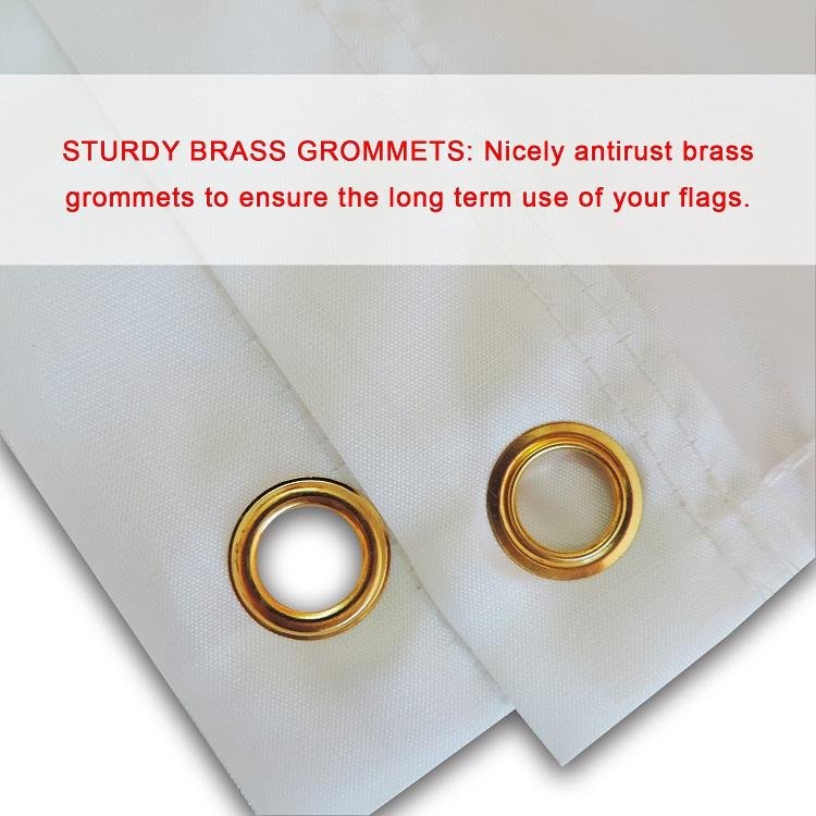 Polyester Advertising Championship Stars and Stripes (6)